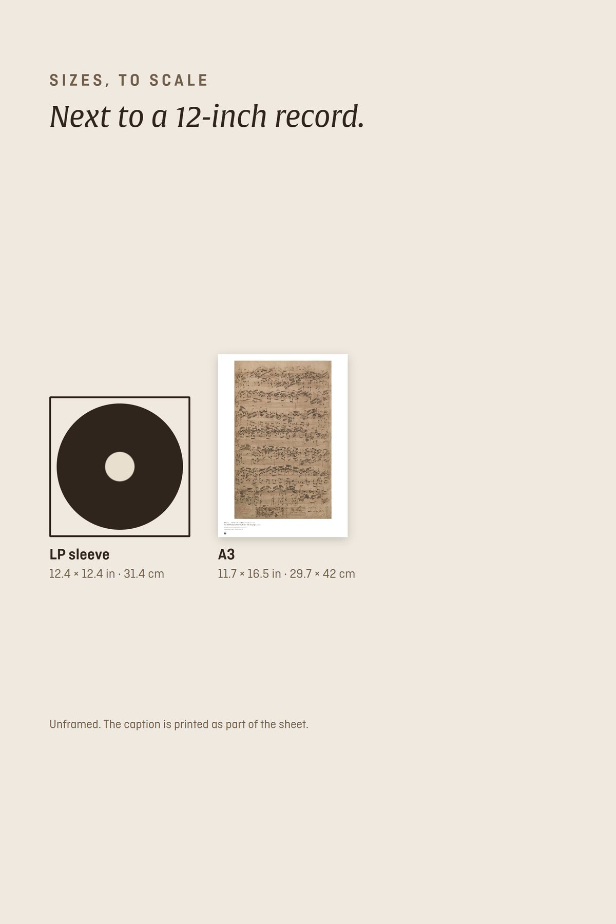 Sizes to scale next to a 12-inch record sleeve