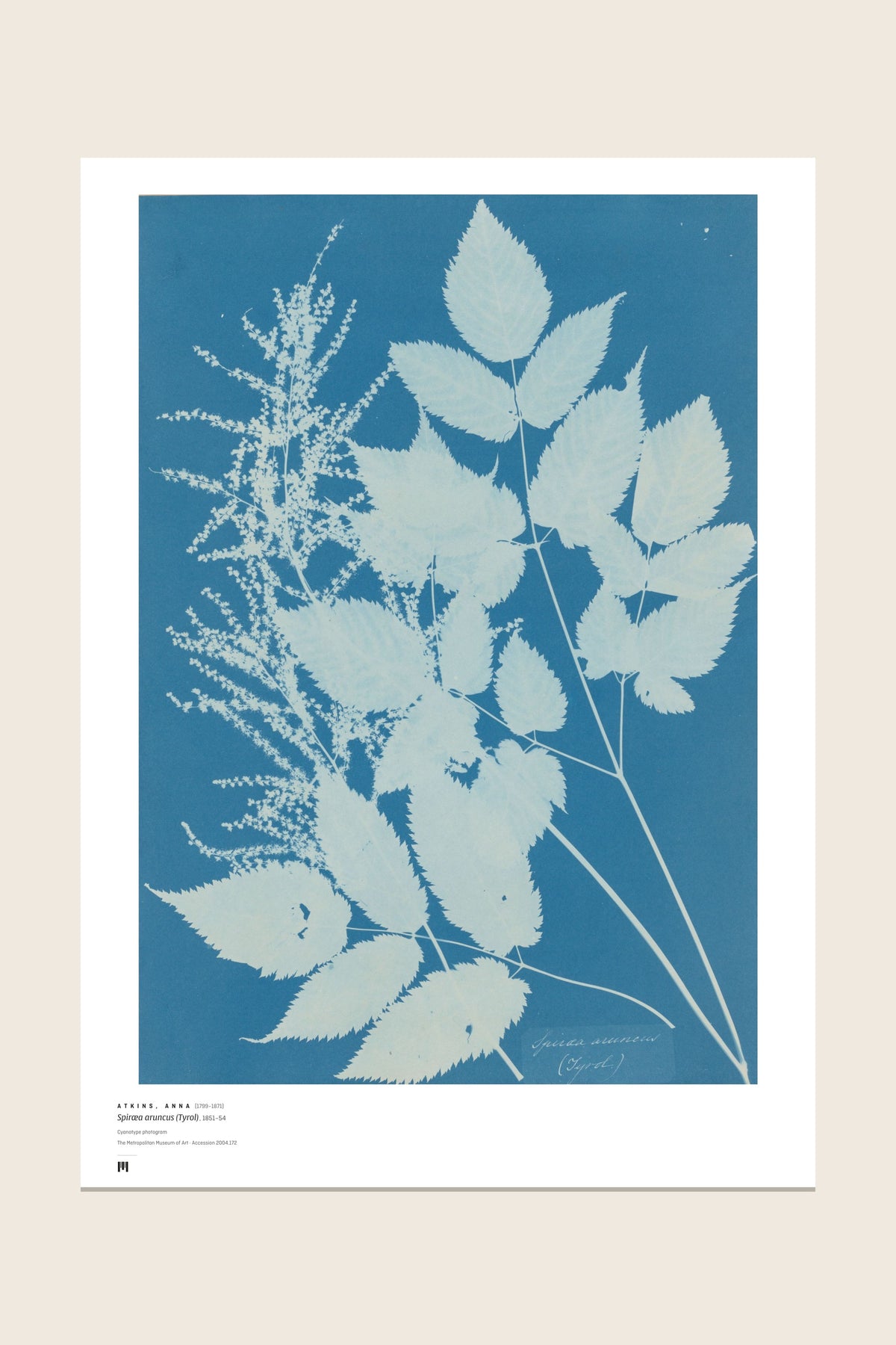 The print as it arrives: the full sheet with the Métrica museum caption