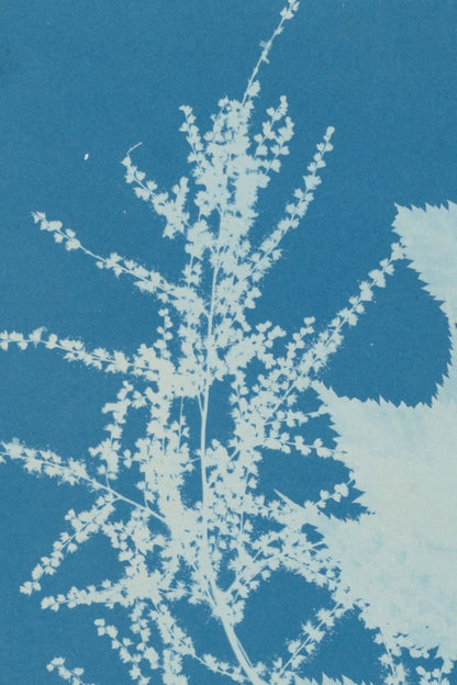 Detail of the print, close up