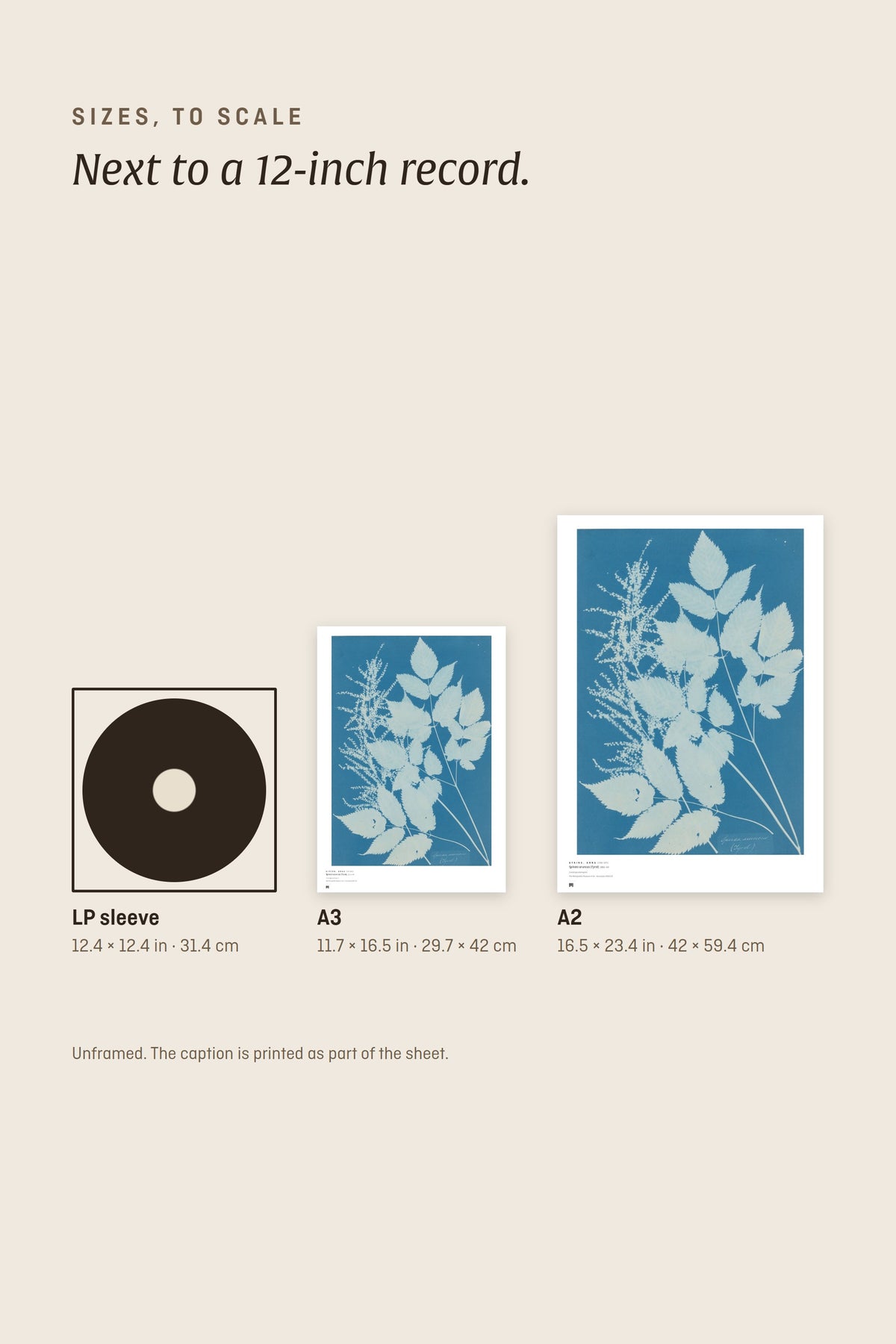 Sizes to scale next to a 12-inch record sleeve