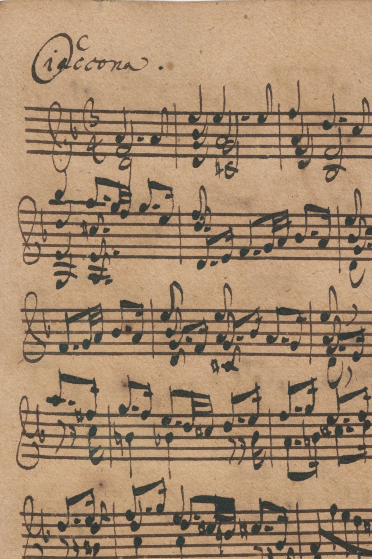 Detail of the print, close up