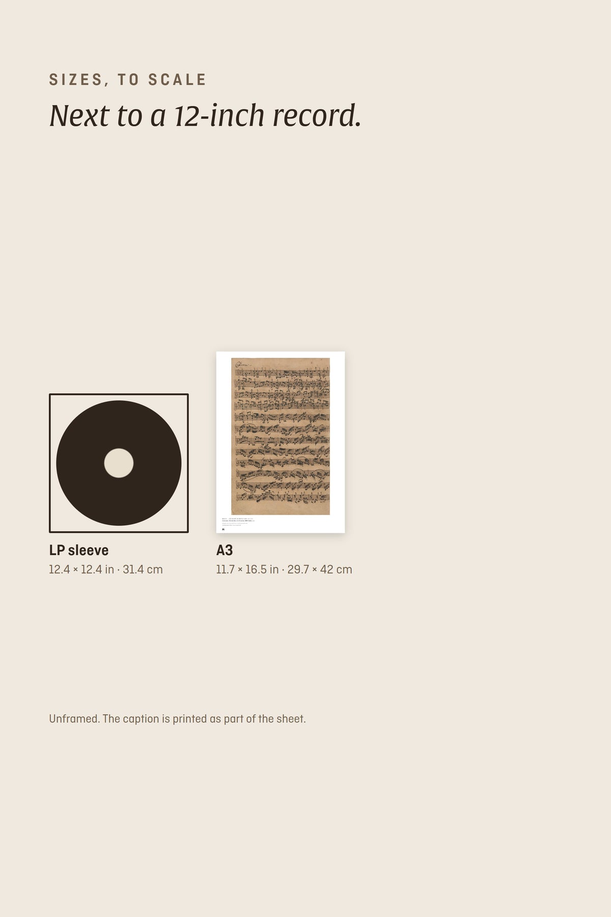 Sizes to scale next to a 12-inch record sleeve