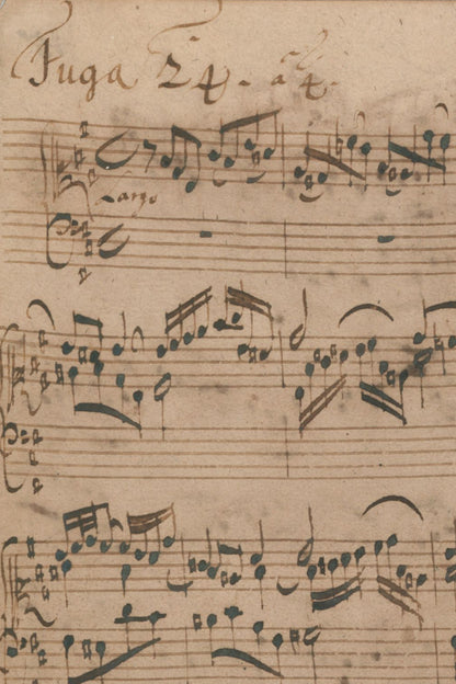 Detail of the print, close up