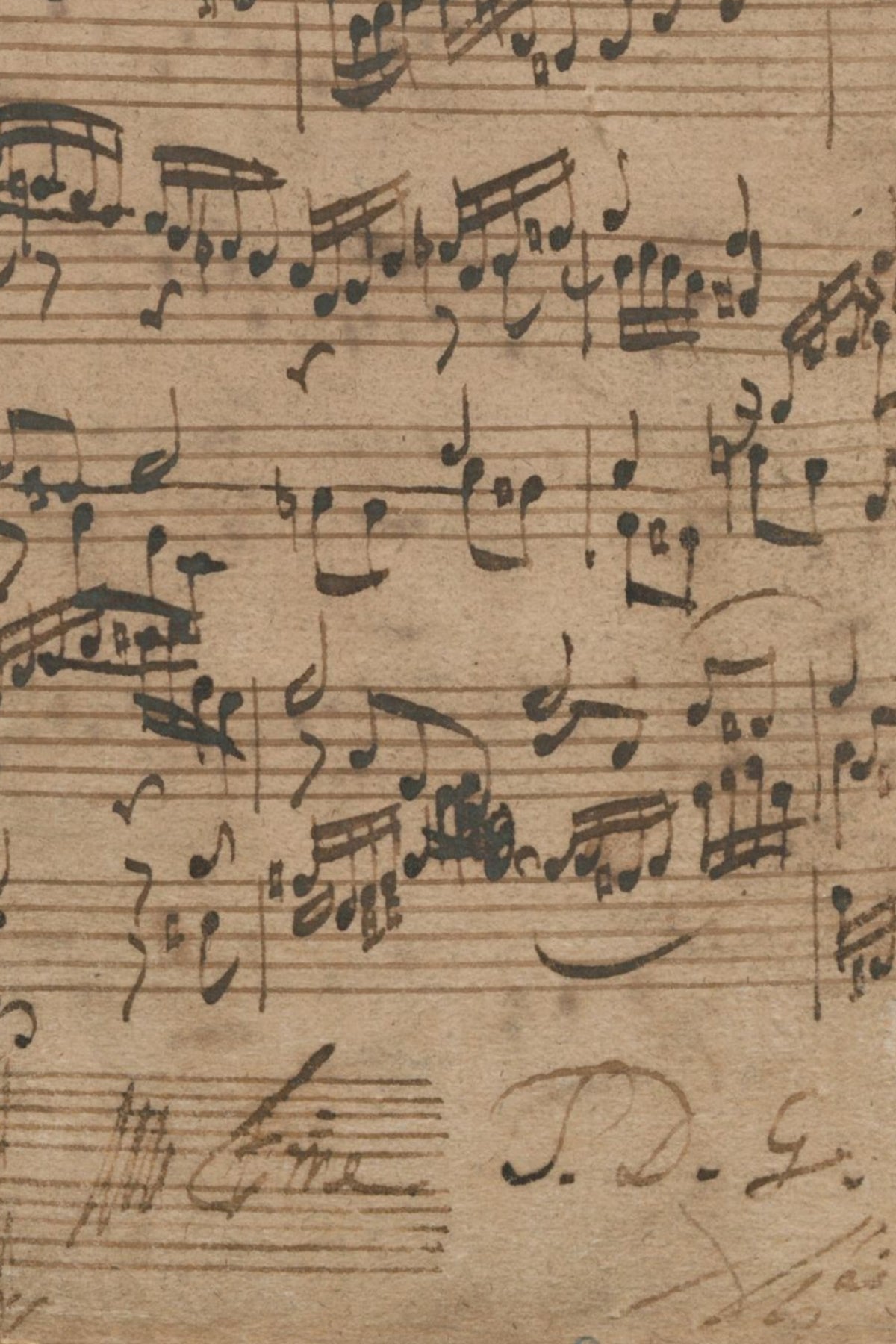 Detail of the print, close up