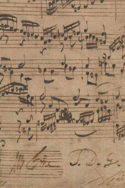 Detail of the print, close up