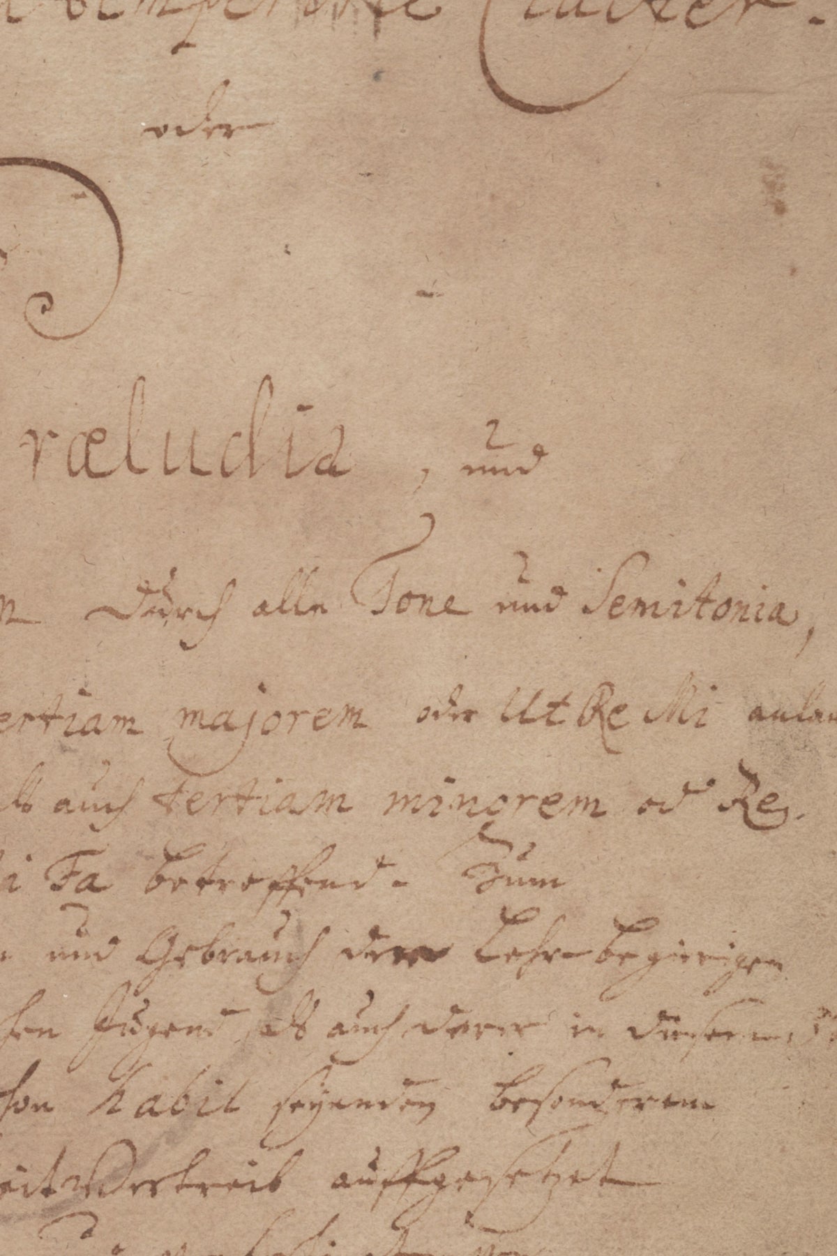 Detail of the print, close up