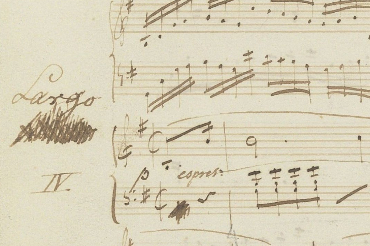 Detail of the print, close up