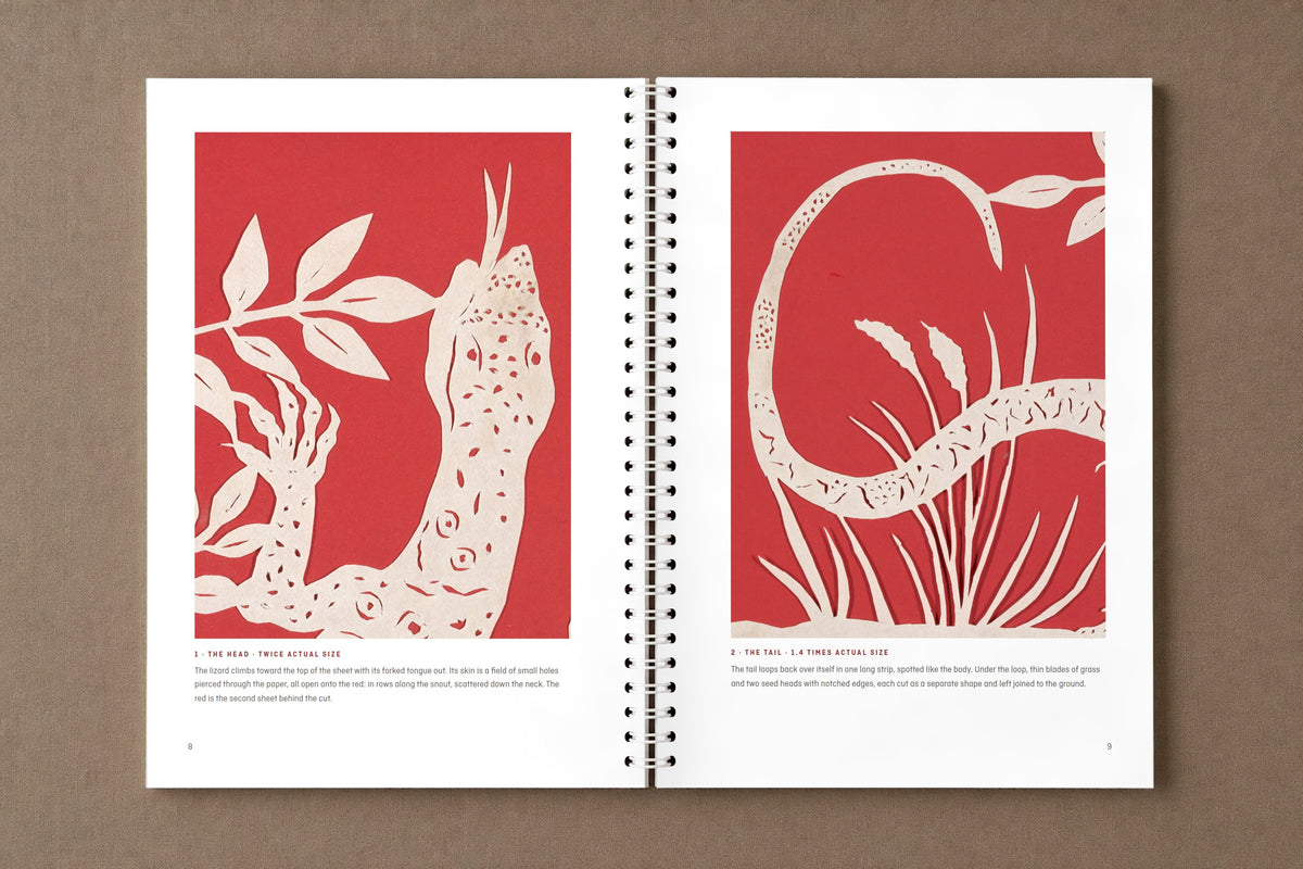 The Monitory Lizard — open notebook: the lizard's head at twice actual size and its tail, cut from paper, digitally composed product view