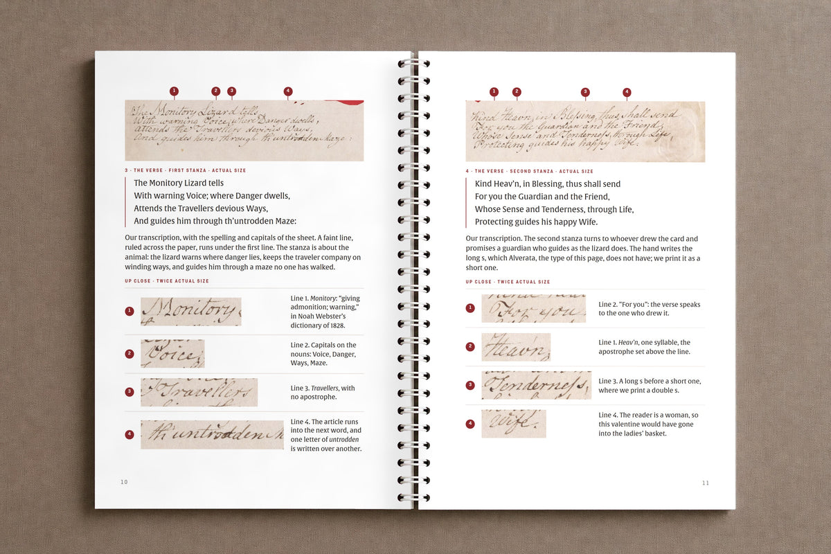 The Monitory Lizard — open notebook: the two stanzas of the verse at actual size, with words enlarged, digitally composed product view