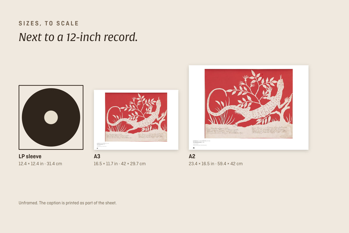 Sizes to scale next to a 12-inch record sleeve