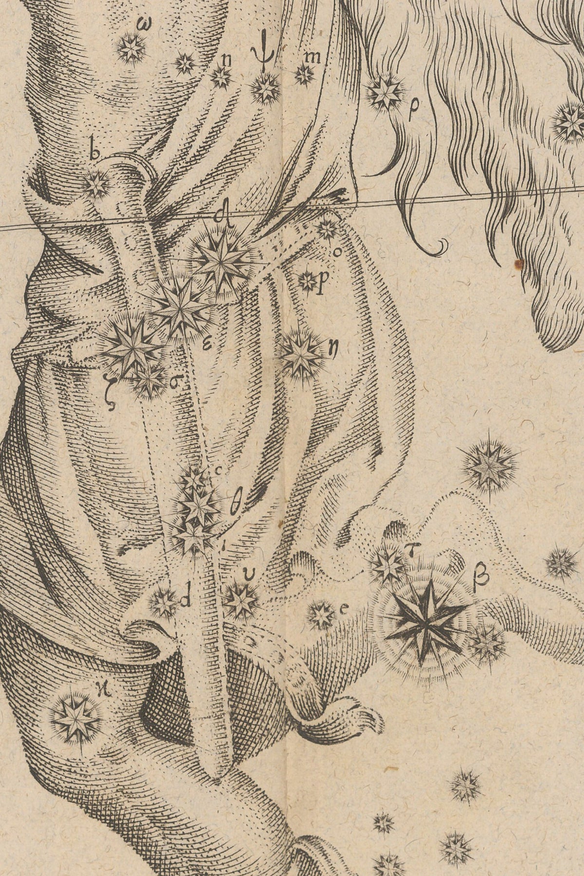 Detail of the print, close up