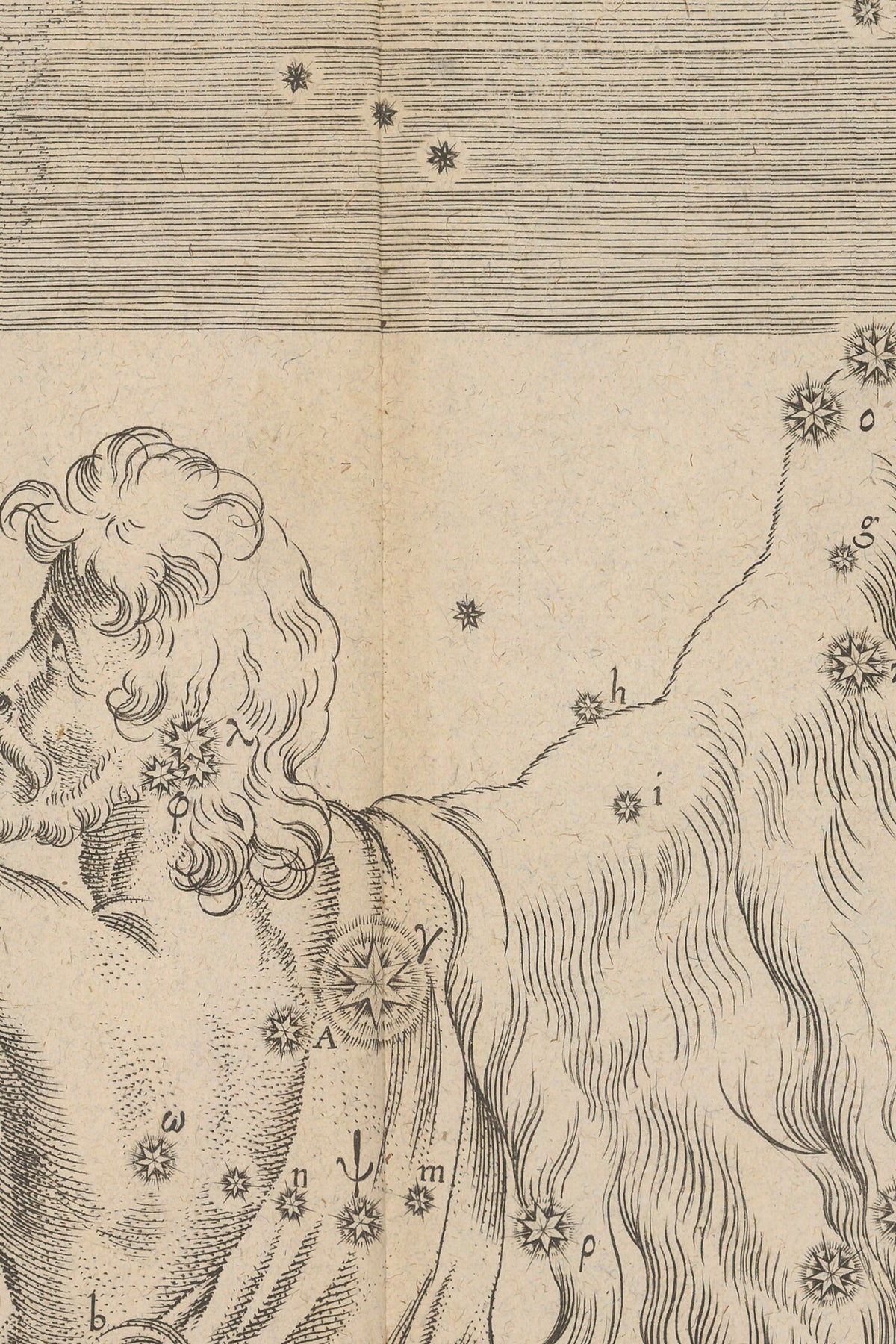 Another detail of the print, close up