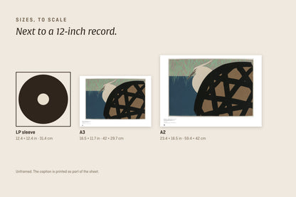 Sizes to scale next to a 12-inch record sleeve