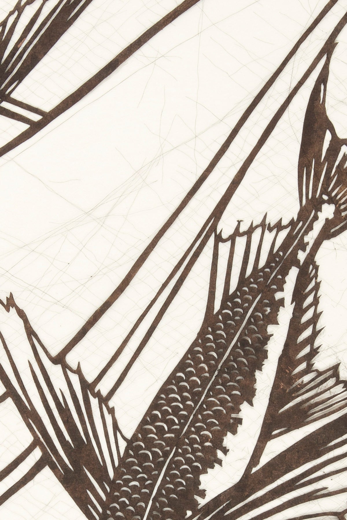 Another detail of the print, close up