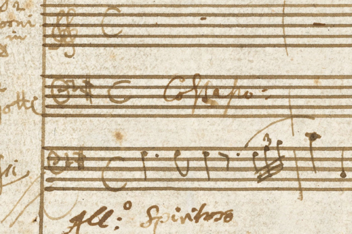 Detail of the print, close up