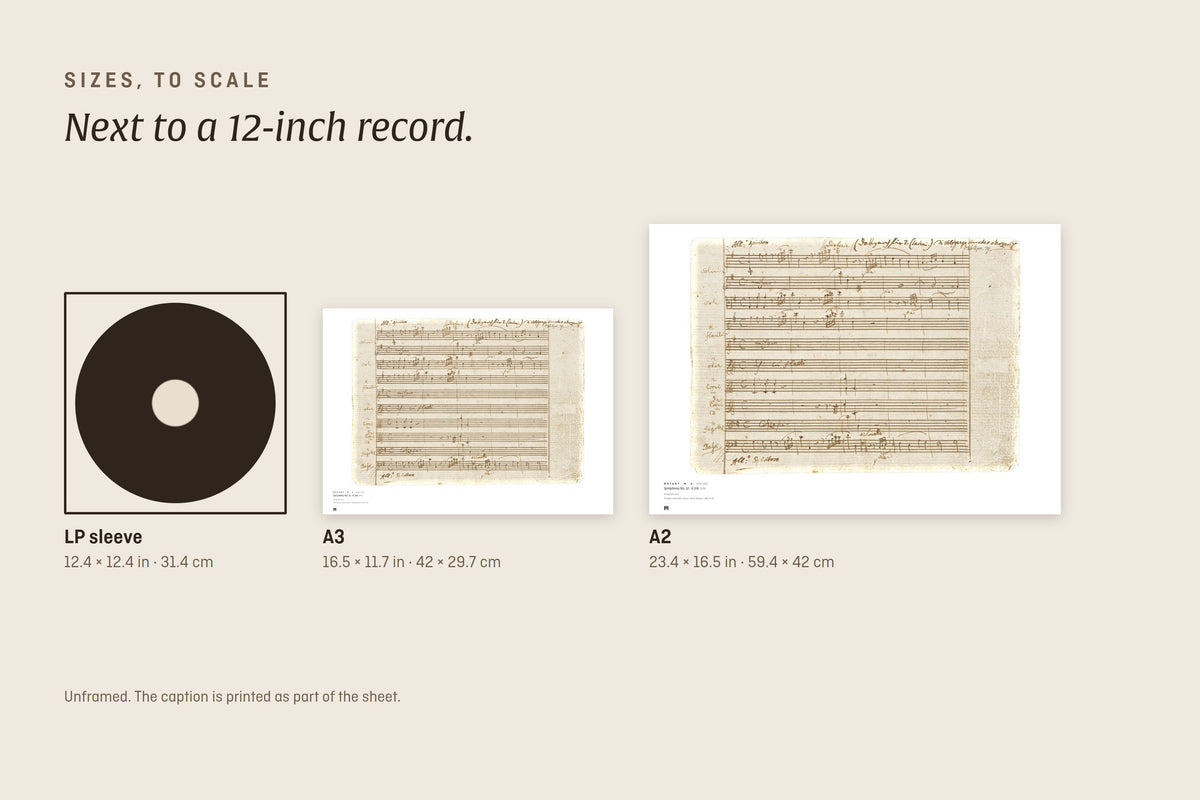 Sizes to scale next to a 12-inch record sleeve