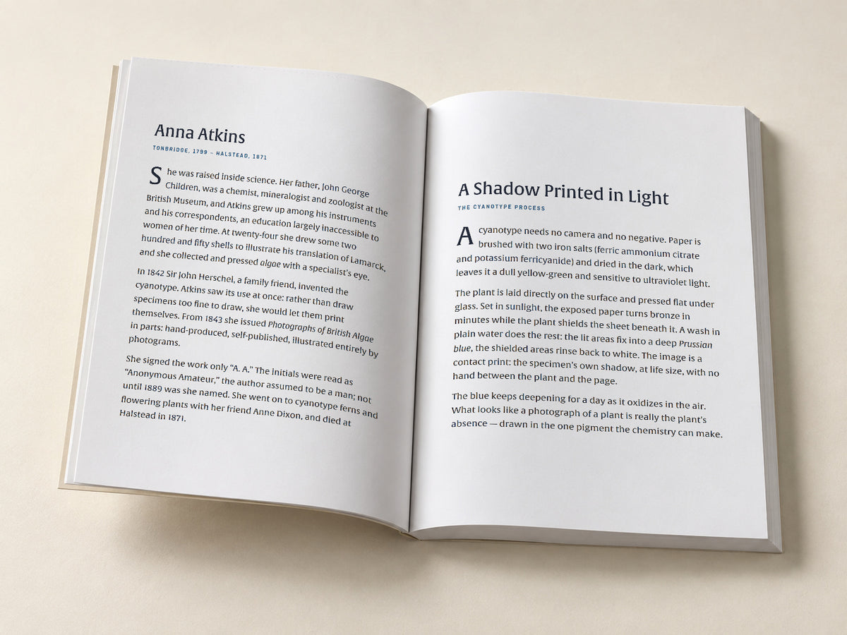 Anna Atkins — Spiraea aruncus (Tyrol) — open notebook with the original editorial pages, digitally composed product view
