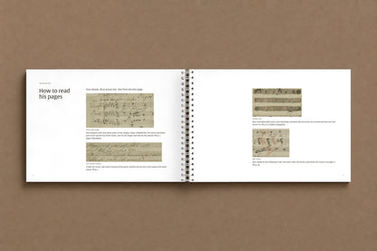 Schubert — For Goethe — open notebook: four details of the manuscript at actual size, with how to read them, digitally composed product view